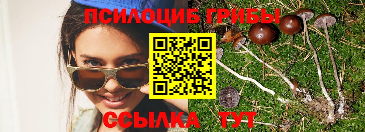 Псилоцибиновые грибы ЛСД  Вход с VPN  Миасс 