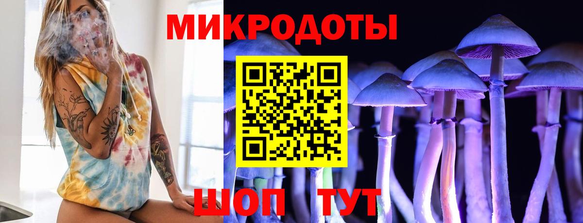 Псилоцибиновые грибы мицелий Миасс